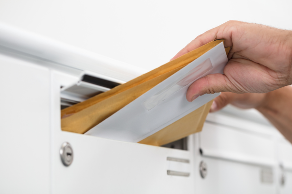 voto por correos
